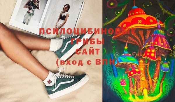 гашик Арсеньев