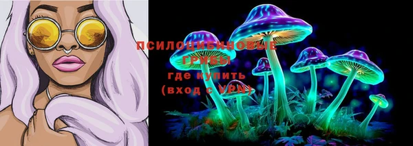 spice Балабаново