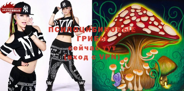 spice Балабаново