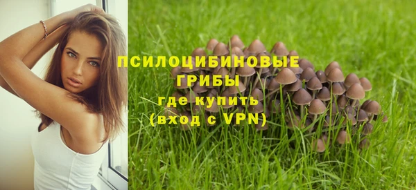 spice Балабаново